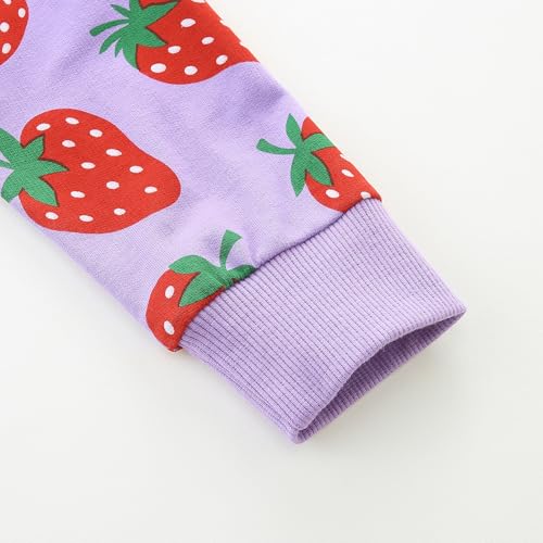 Image of Bumeex Girls Cotton Crewneck Cute Sweatshirts The Hedgehog and The Fox Pink 2-7T