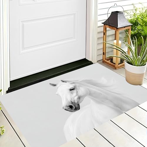 Tapis entrée intérieur 50x80cm lavable et tapis de sol mince