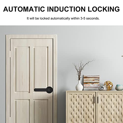 Cigooxm Smart Fingerprint Handle Lock Trava de porta elétrica com sensor automático Chave mecânica T