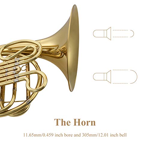 Eastar Single French Horn Key of F Standard 3-Key French Horn for Students Beginners with Hard Case Tuner Mouthpiece Gloves Valve Oil and Cleaning Kit, EFH-380