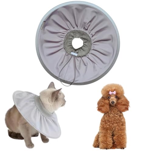 Lifetips~fBAv[h ~fBAv[Lp GUxXJ[ h \tg y pPA ی Ȃߖh~ p EȒP 􂦂 PAJ[([~XgO[j(Lj