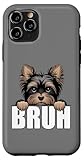 Photo Gallery divertente yorkie bruh yorkshire terrier amante dei cani uomini ragazzi bambini custodia per iphone 11 pro Photo Gallery divertente yorkie bruh yorkshire terrier amante dei cani uomini ragazzi bambini custodia per iphone 11 pro