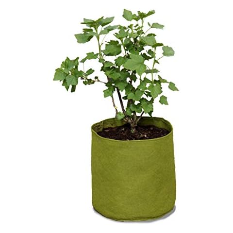 Haxnicks Large Vigoroot Plant Pots | Special Garden Fabric Needs Less Compost | Better Roots | Stronger Plants | Up To 30% Higher Yield | Capacity 20L Green, | VIG110101 Cover