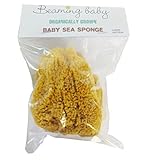 Org Baby Sea Sponge