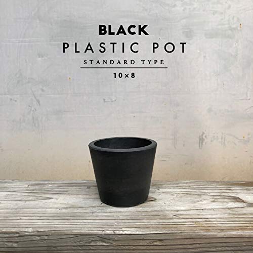 Amazon.co.jp: BLACK PLASTIC POT【STANDARD TYPE】3号 黒 プラ鉢 厚口