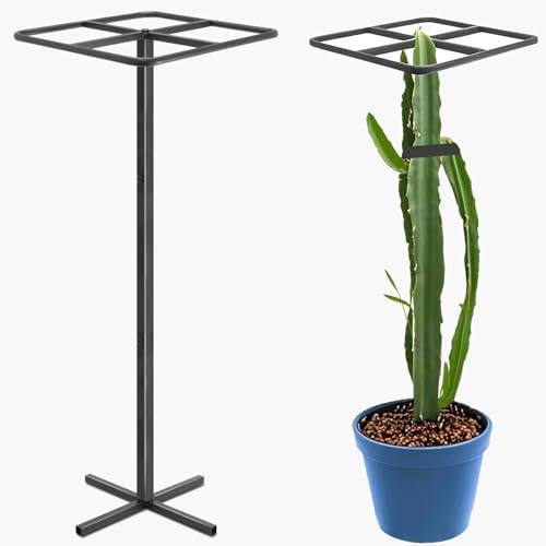 Gavinjitao Metal Dragon Fruit Trellis，Adjustable Dragon Fruit Plant Trellis for Vertical Gardening and Climbing Plants Trees Cactus Garden Outdoor Indoor Potted Support （Black）