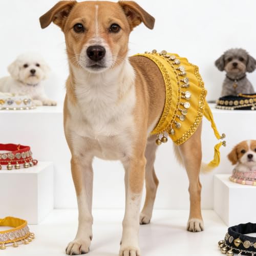 Falda de bailarina para perros con cascabeles miniatura 2