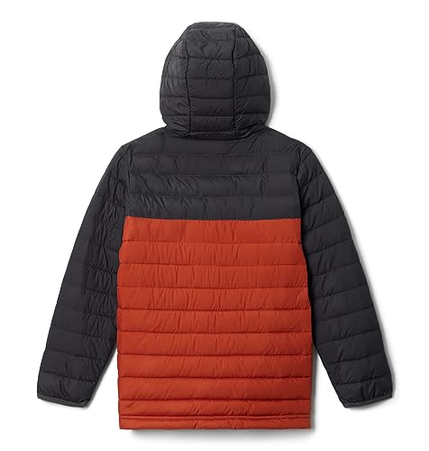 Image of Columbia Kids Powder Lite Hooded Jacket (Little Kids /Big Kids)