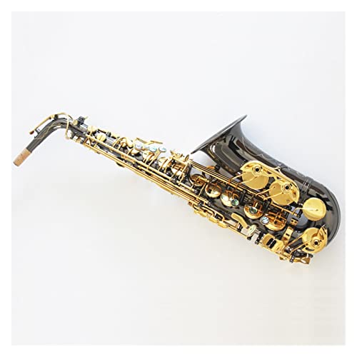 Drop E Alto Saxophone Instruments Sғ ̗p