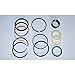 RAParts 84257772 Seal Kit Fits Case
