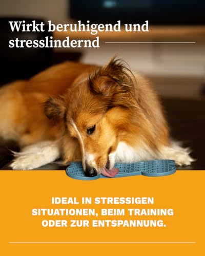 Martin Rütter – Leckmatte Hund in Knochenform mit Saugnäpfen Grau L – Hundespielzeug aus Silikon BPA-frei – Schleckmatte für mentale Auslastung & Beschäftigung – Spülmaschinen- & Gefrierschrankfest