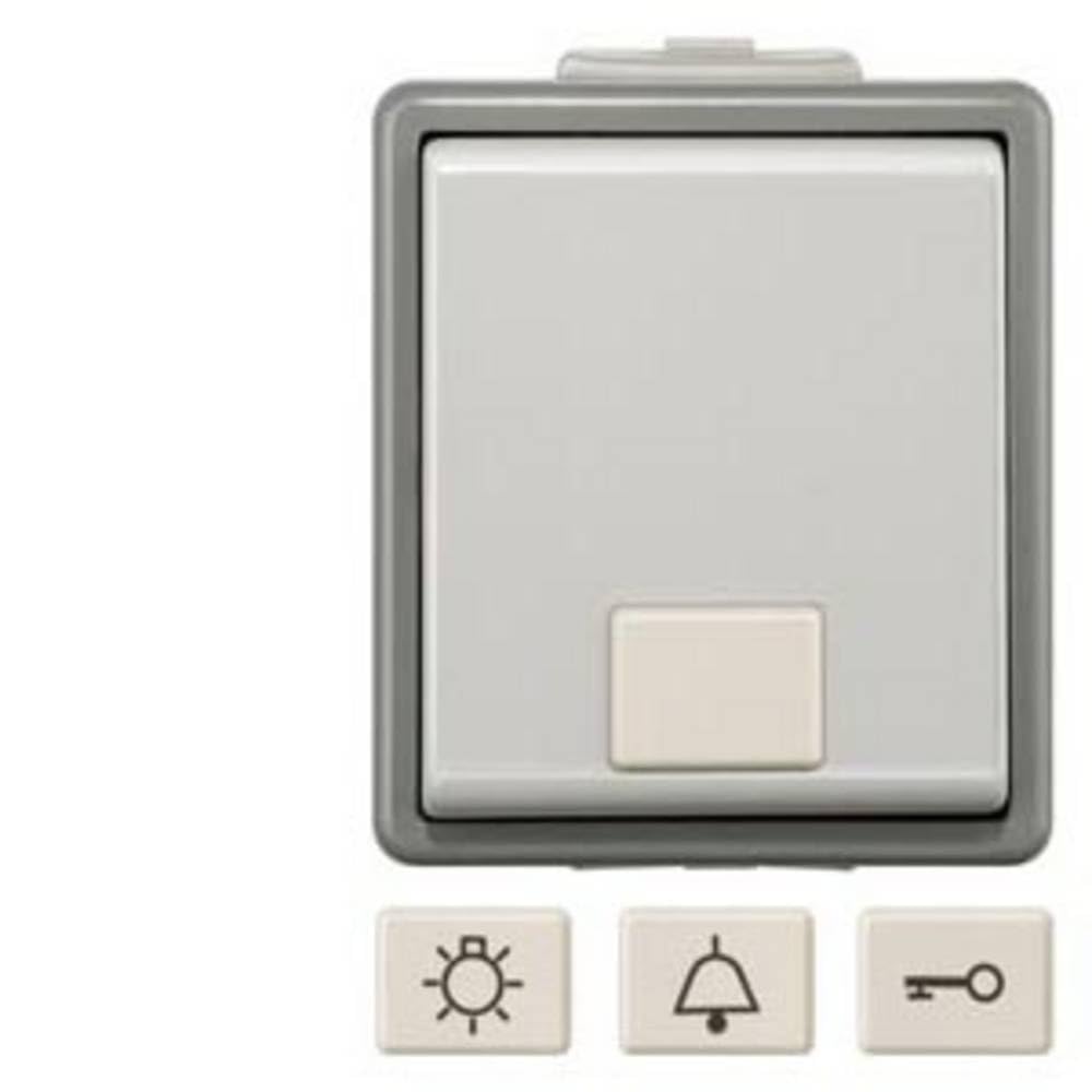 BJC Delta Surface - Switch Control Viewfinder Lamp Control Delta - View #5