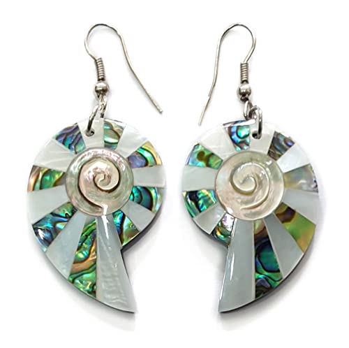 Iridescent Paua Abalone Shell Earrings, Natural Mother of Pearl, Handmade Dangle Drop Abalone Seashell Earrings for Women Fashion Jewelry BA268