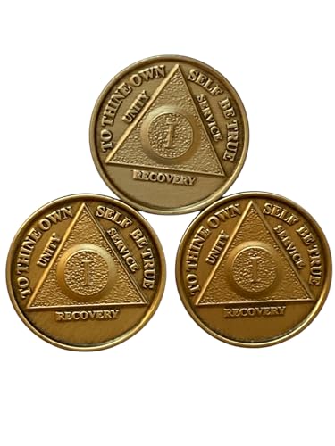 wendells Set of 3 AA 1 Year Bronze Anniversary Sobriety Medallions Serenity Prayer