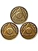 Set of 3 AA 1 Year Bronze Anniversary Sobriety Medallions Serenity Prayer