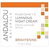Andalou-Natural-Purple-Carrot-C-Luminous-Night-Cream-Purple-Carrot-Plus-C-Luminous-17-Ounce Andalou Natural Purple Carrot + C Luminous Night Cream, Purple Carrot Plus C Luminous, 1.7 Ounce