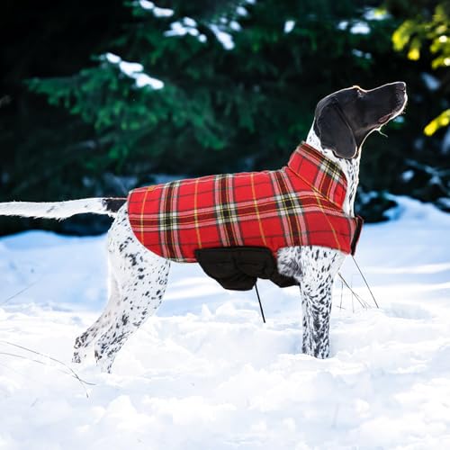Image of Kuoser Waterproof Dog Coat, Warm Reversible Dog Jacket with Leash Hole | Soft Cozy Dog Cold Weather Coats for Rainy Snow Days, Lightweight Jacket for Large Dogs, Xmas Dogs Snowsuit Bright Red XL