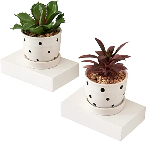OAKERLAND Blanco Pequeños Estantes Madera Pared, 2 estantes de Balda Flotante de Roble Macizo, Mini Estantería de Pared para Plantas, Dormitorio, Salón, Cocina, Oficina, Lavadero etc