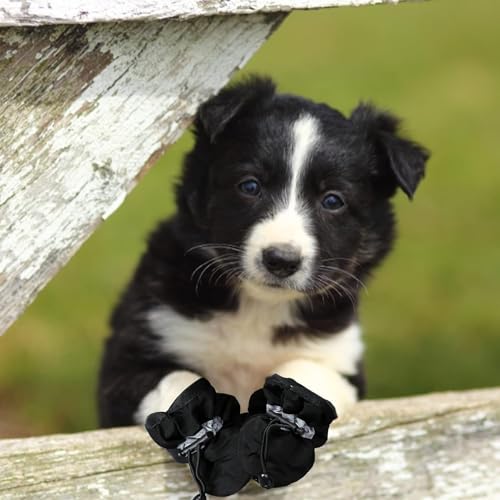 FaJoek Wasserdichte Hundeschuhe Mit Reflektierenden Riemen - Anti-Rutsch Pfotenschutz für Kleine Hunde Im Winter - 4 Stück (Schwarz, #7)