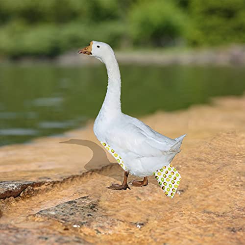 Pannolini lavabili per galline, galline, galline