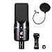 sE Electronics X1 A Large-Diaphragm Condenser Microphone Bundle with Pop Screen Filter