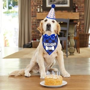ADOGGYGO Dog Birthday Party Supplies, Boy Dog Birthday Hat with Numbers, Plaid Birthday Dog Bandana and Blingbling Dog Bow Set for Large and Extra Large Dogs Pets (X-Large) ADOGGYGO Dog Birthday Party Supplies, Boy Dog Birthday Hat with Numbers, Plaid Birthday Dog Bandana and Blingbling Dog Bow Set for Large and Extra Large Dogs Pets (X-Large)