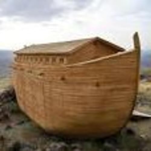 Noah built a boat remix