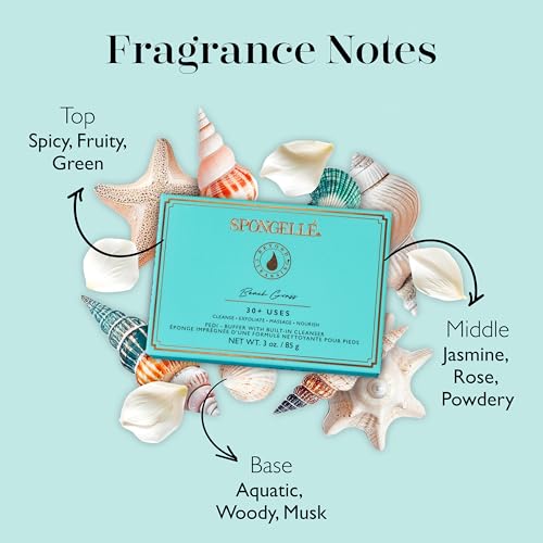 spongell pedi-buffer - cleanse exfoliate amp polish feet - beach grass