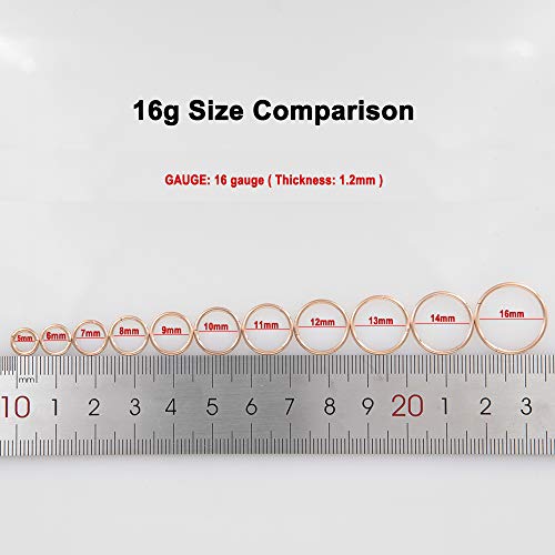 Image of FANSING Men Women 316L Surgical Steel Hinged Nose Rings Hoop for Nostril Septum Cartilage Helix Daith Tragus Rook Conch Lip Ear Lobe Piercings