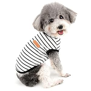 Zunea Dog Shirts for Small Dogs Summer Puppy Pet Clothes T-Shirts Soft Cotton Vest Striped Breathable Sleeveless Tank Top Pet Cats Chihuahua Basic Tee Shirt Apparel for Dogs Girls Boys Black XS