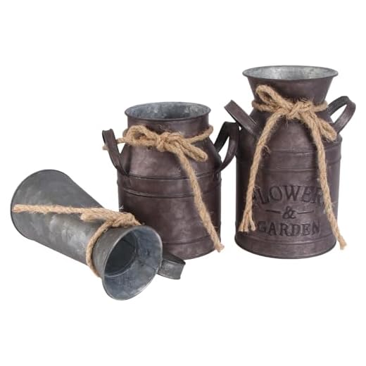 Hemoton 3 Stücke Vintage Blumenvase Eisen Blumentopf Milchkanne Landhausstil Deko Vase Rustikal Blumeneimer Metall Eimer Übertopf Dekovase Kaktus Topf für Garten Wohnzimmer Tischdeko