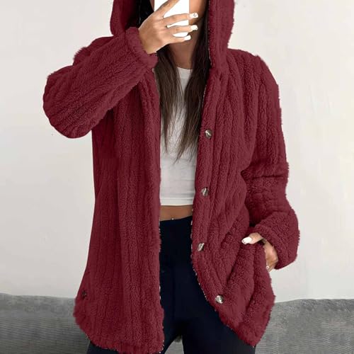 Thermal Fuzzy Hooded Basic Outfits for Women Fall Winter Long Sleeve Jacket Hoodies Outfits Women 2025 Y2K4