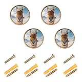 JUMBEAR Lindos pomos de armario con cara de caballo (paquete de 4), pomos de puerta vintage para armarios y cajones