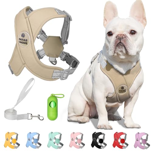 Patas Lague Dog Harness with Leash Set Adjustable Soft Padded Ste...