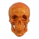 Diseño artístico: el diseño de la cabeza de calavera ofrece un toque distintivo y artístico, ideal para mostrar un estilo individual, calavera falsa, calaveras pequeñas