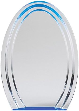 SHOP AWARDS AND GIFTS Acrylic Halo Trophy Award Personalized, Customizable Engraved Work Business Corporate Prizes,