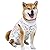 ZIMAOSHAN Dog Surgery Recovery Suit Pet Recovery Suit Abdominal Wound Protector Medical Surgical Clothes for Dog (X-Large, White rabbit)