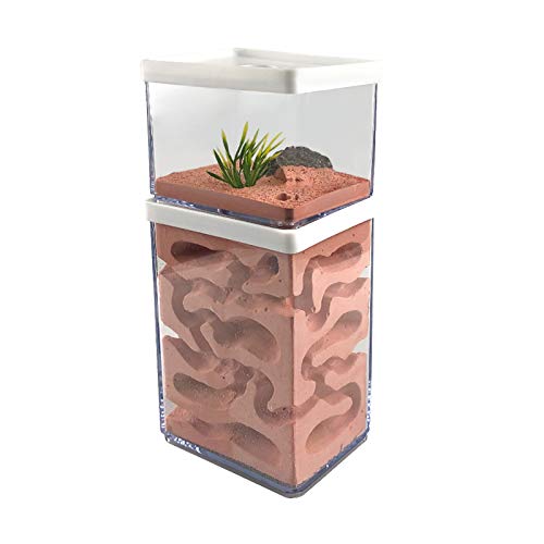 Mocohana 9412GJYMOMYX1 Ant Farm Box Ant Home thumb #1