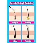 [K-Beauty] That's What She Used Advanced Eyelash Growth Serum and Brow Enhancer | Longer, Thicker & Fuller Voluminous Eyelash Serum to Grow Lashes | Paraben, Gluten Free (8ml, 0.27 fl oz) - Image 5