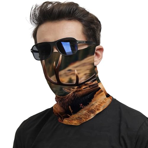 Neck Gaiter Wild Animals Face Mask for Travel Face Cover Scarf for Men Women Elastic Headbands Wind-proof Bandana for Skiing Fishing Hiking Cycling2