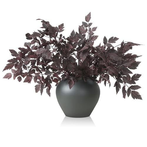 Lyrow Lot de 6 Feuilles de cimicifuga ar