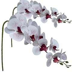 White and Purpleline