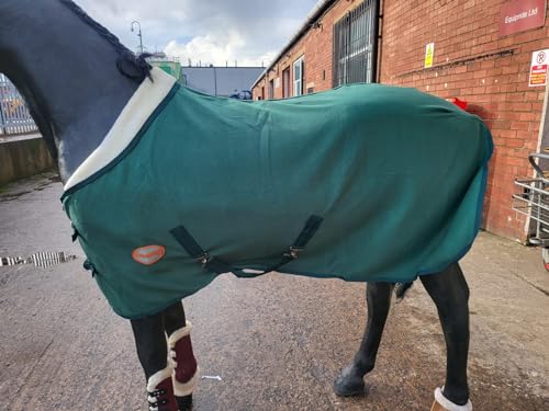 Alfombra de viaje Starlight para transportar caballos protegidos en días fríos