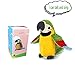 Upgrade Newest Talking Parrot - Repeats What You Say With Cute Voice - Electronic Pet Talking Plush Toy Parrot for Child Kids gift Party Toys