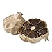 Black Garlic 2pk