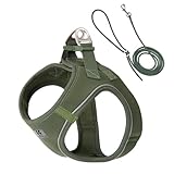 SMALL COMBINATION Adjustable Dog Harness with Leash, Reflective Mesh, No-Pull Design,Matching Lead Rope (Army Green, XXS)