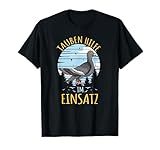 Vogel Liebhaber Stadttaube Zuchttauben Taube