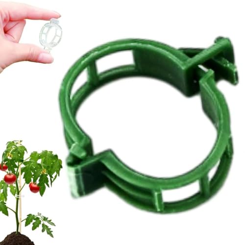 Clips de sujeción para enredaderas de jardín, Clips de fijación de plantas for plantas trepadoras 100/150/300 piezas multicolor(Green-200pcs)