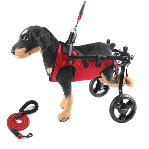Chariot de rééducation pour petit chien S | Structure légère avec laisse - 2