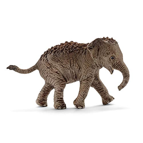 SCHLEICH 14755 Asiatisches Elefantenbaby, ab 3 Jahren, WILD LIFE - Spielfigur, 9 x 3 x 5 c